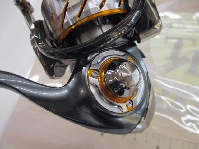 13セルテート 2500