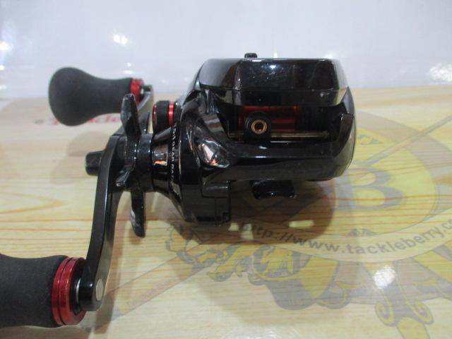 17炎月CT 100HG