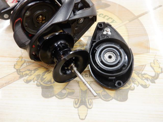 タトゥーラ TW 100XHL