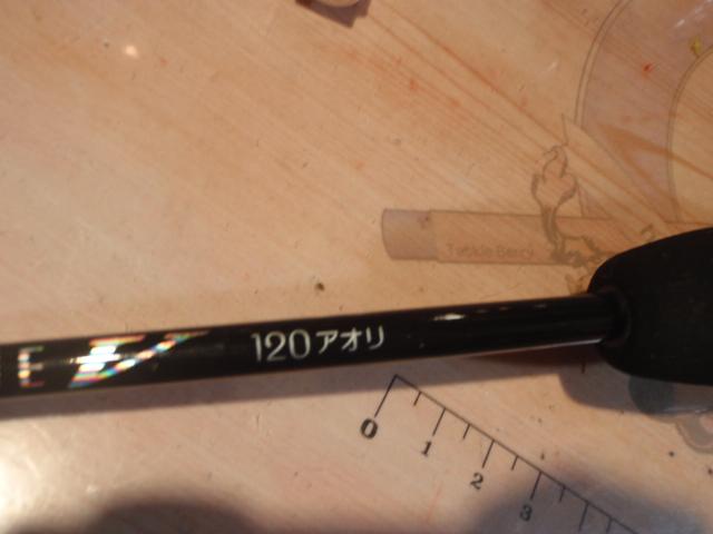 早舟V 120アオリ