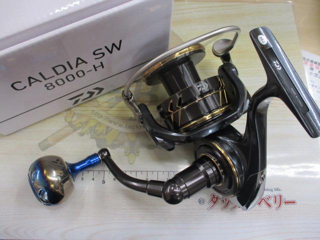 22カルディアSW 8000-H