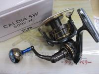 22カルディアSW 8000-H