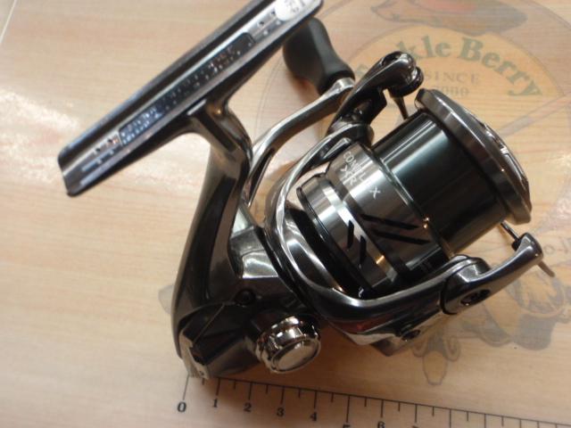 21コンプレックスXR 2500 F6 HG