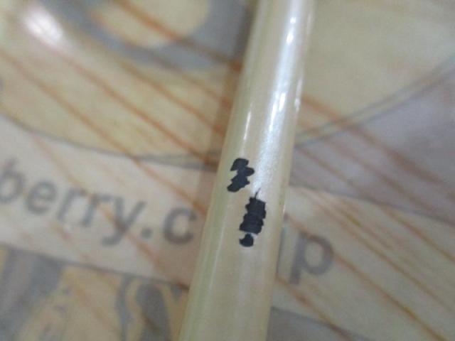 ドルフィンスティック PPS-800L