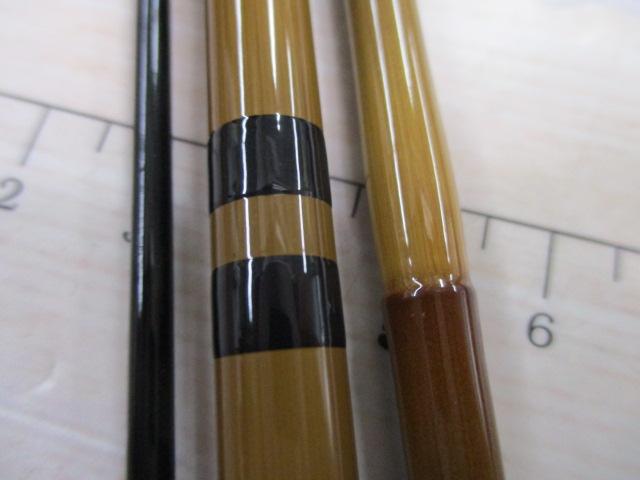 普天元 獅子吼 8