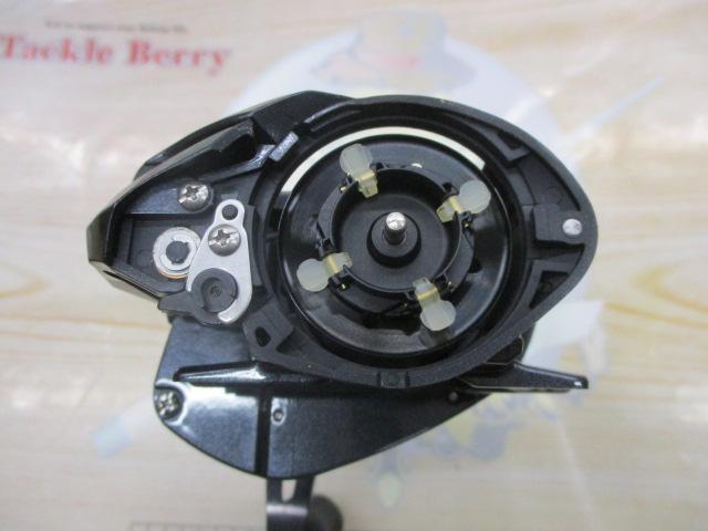 カシータスMGL 100 RH