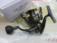 22カルディアSW 10000-P