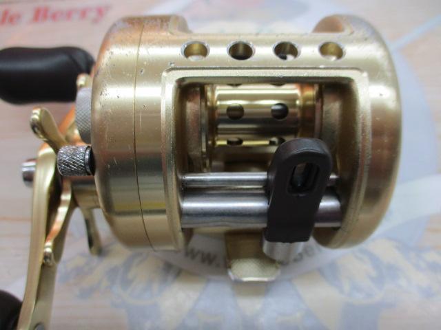 カルカッタ 100XT