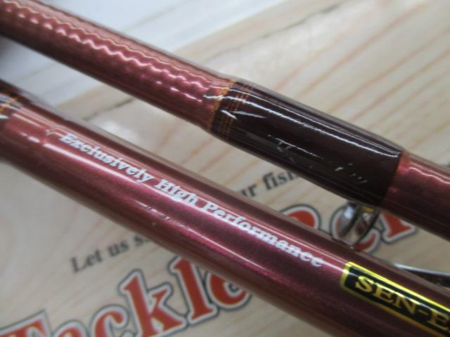 先鋭剣崎V2 30-200