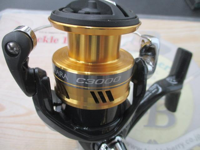 17サハラ C3000