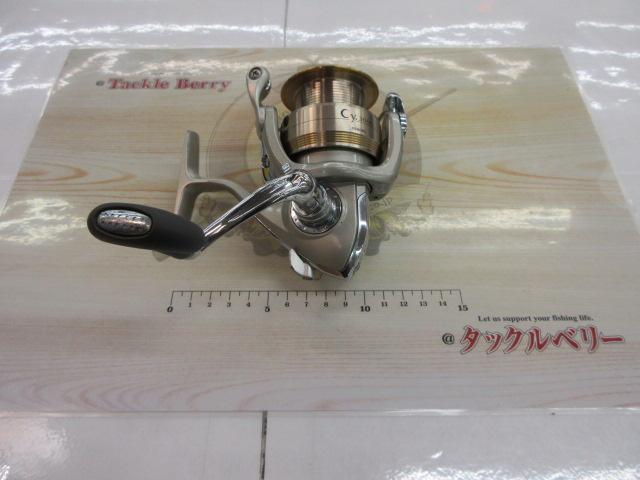 サイ 3000
