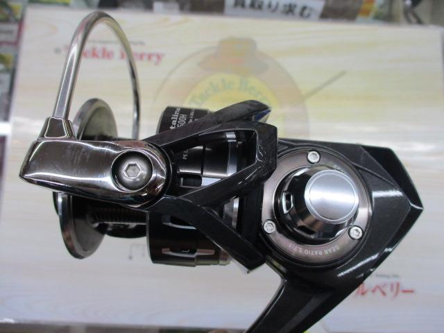 16キャタリナ 4500H