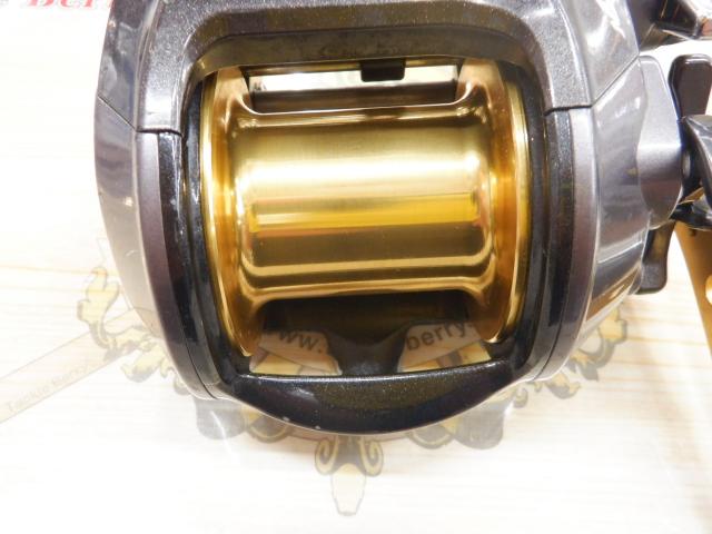 レオブリッツブル 500MM