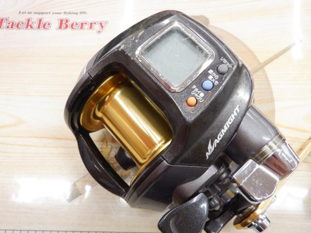 レオブリッツブル 500MM