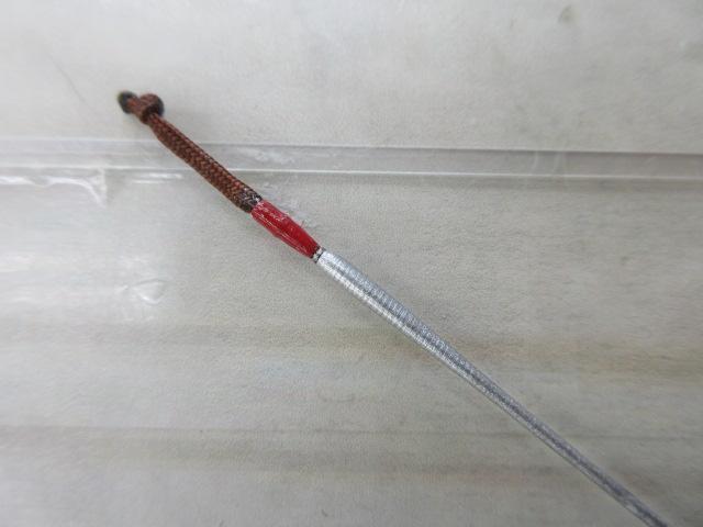 五天聖 11
