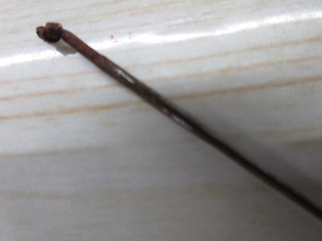飛天弓 閃光 21