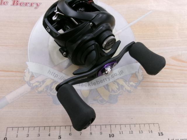 タトゥーラ TW 100XHL