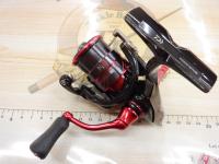 18月下美人MX LT1000S-P