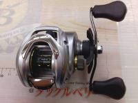 24バスX 100H