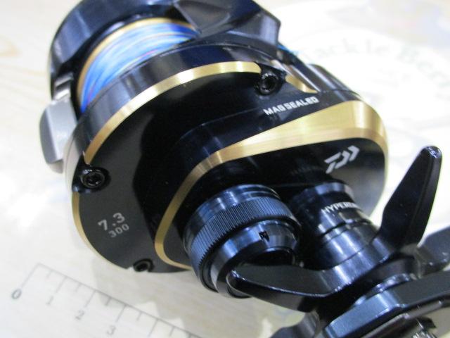25ソルティガ 300H