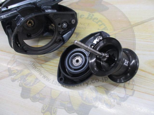 25タトゥーラ SV TW 100XH