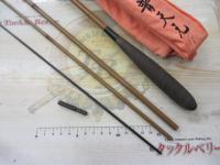 普天元 11