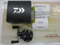 スティーズ AⅡ TW 1000XHL