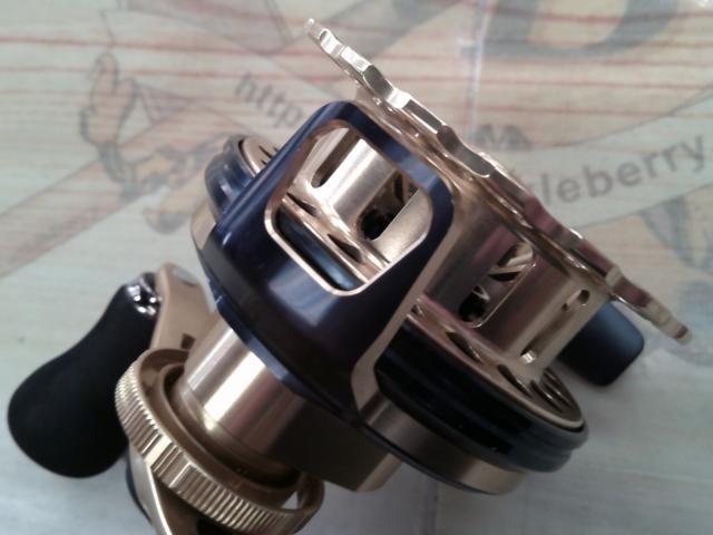 19セイハコウSP RC83 ゴールド R