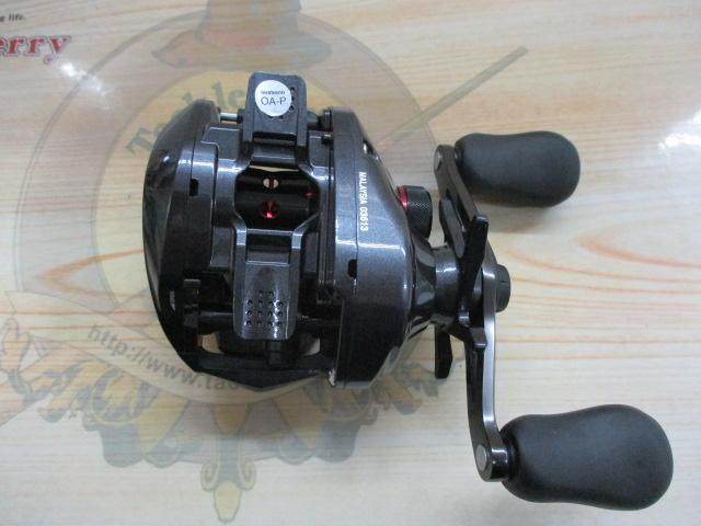 カシータスMGL 100 RH