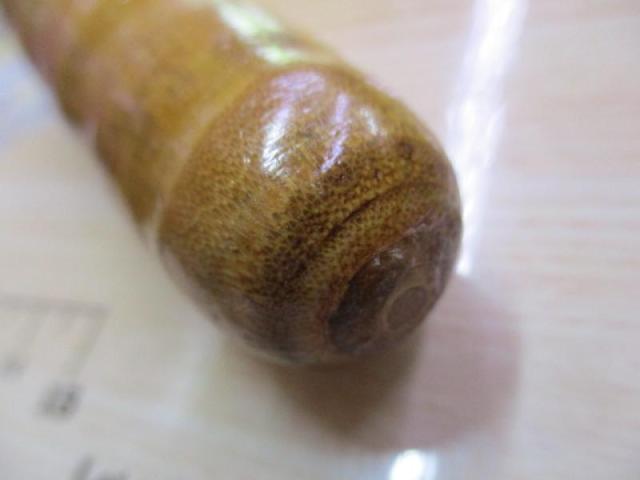 朱紋峰 先ぬけ 16