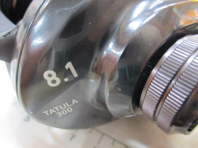 タトゥーラ TW 300XH