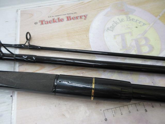 TD-S SW S1203MHRS