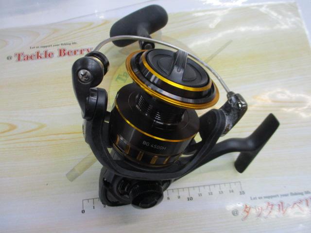 16BG 4500H