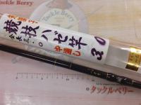 先調子競技ハゼ竿中通し3.0