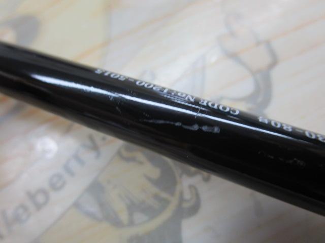 アネスタ太刀魚スペシャル 190S
