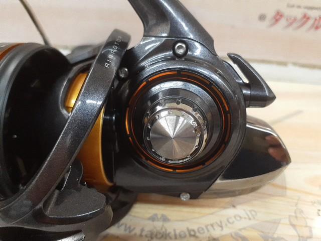 19キャスティズム 25 QD