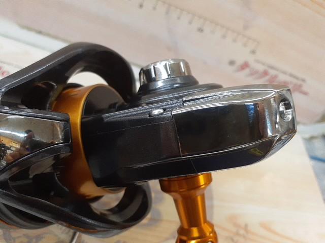 19キャスティズム 25 QD