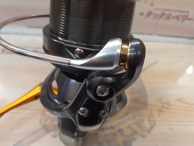19キャスティズム 25 QD