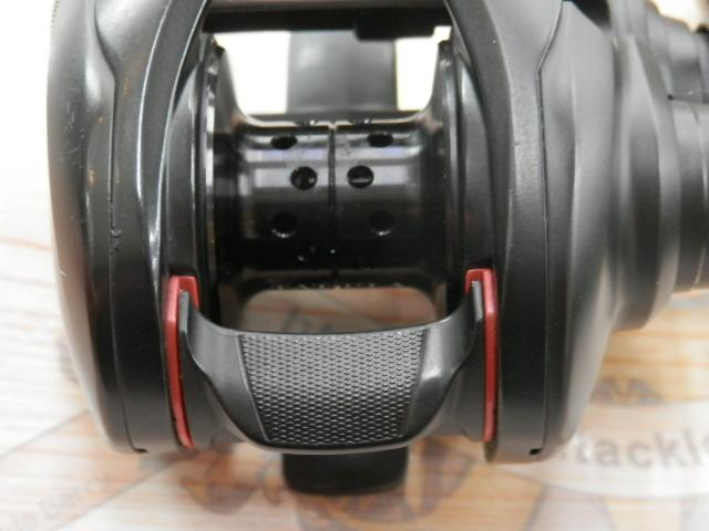 タトゥーラ TW 100SH