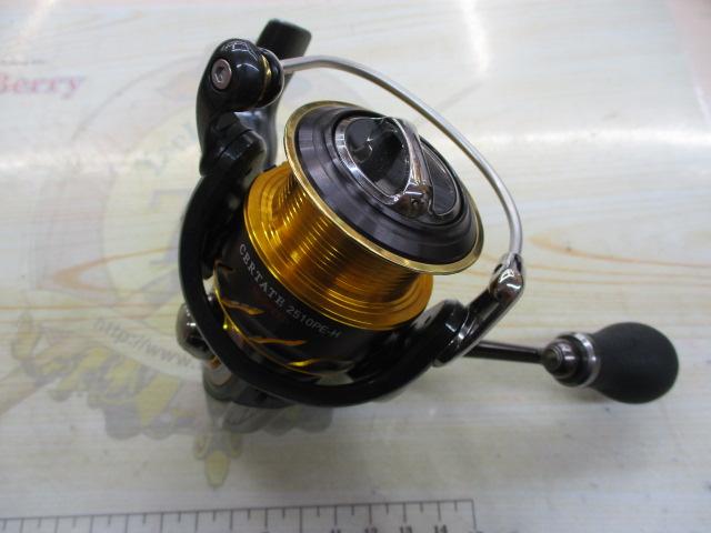 13セルテート 2510PE-H