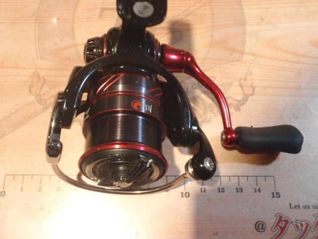 18月下美人MX LT1000S-P