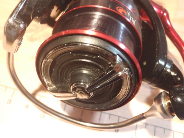 18月下美人MX LT1000S-P