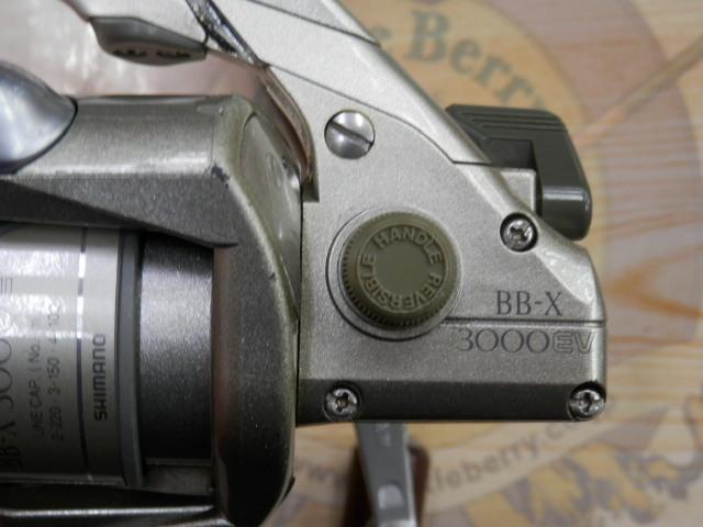 SBL BB-X EV 3000DH