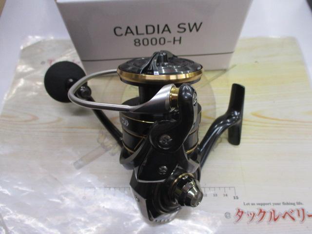 22カルディアSW 8000-H