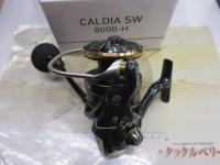 22カルディアSW 8000-H