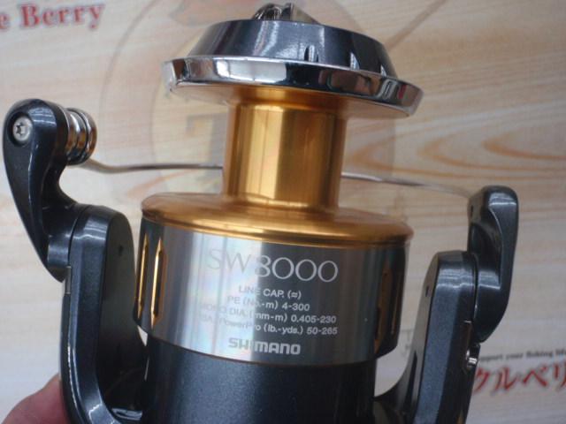 15ツインパワーSW 8000PG