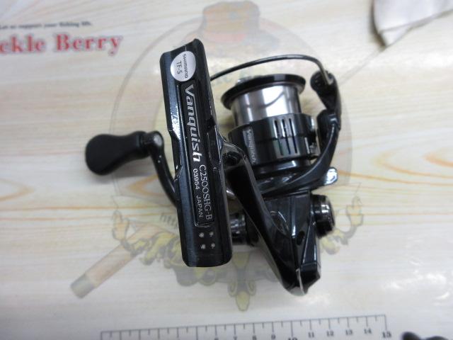 19ヴァンキッシュ C2500SHG