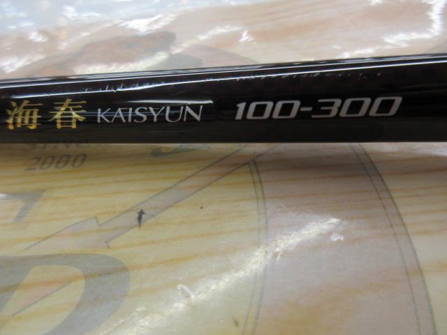 13海春 100-300