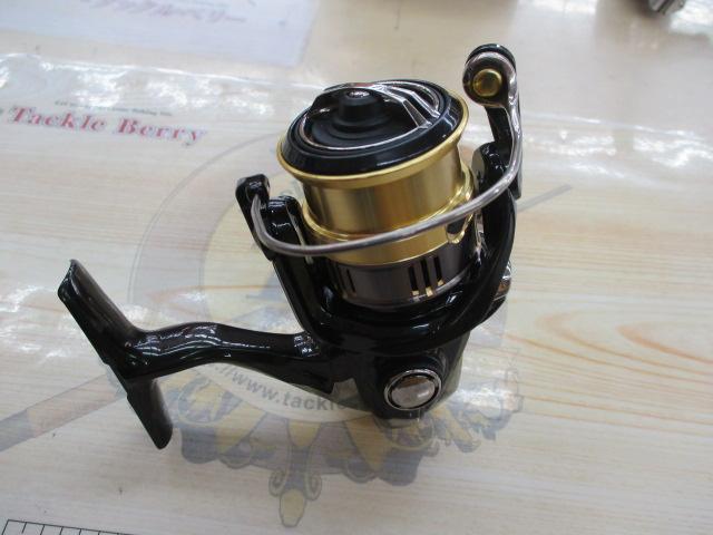 18カーディフCI4+ 1000SHG