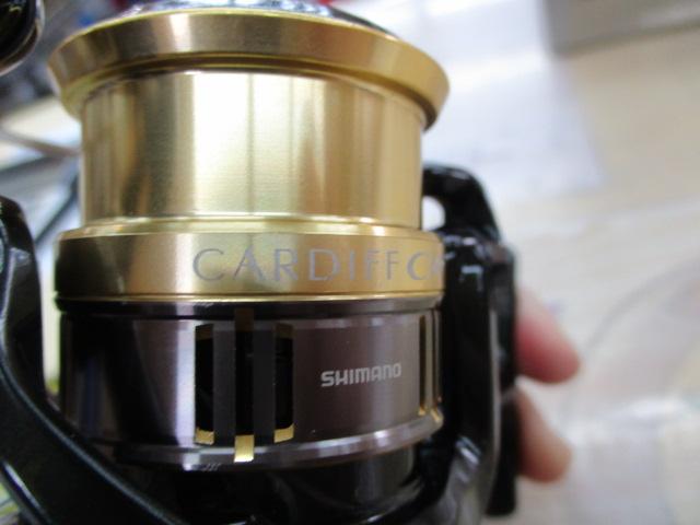 18カーディフCI4+ 1000SHG